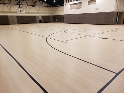 Epic matte basketball court